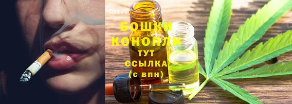 гидра Богородицк