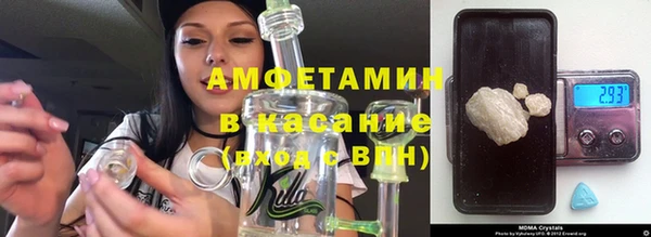 гидра Богородицк