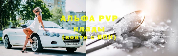 гидра Богородицк