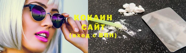 гидра Богородицк