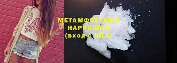 гидра Богородицк