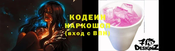 гидра Богородицк
