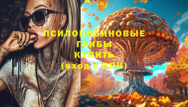 мдма Богданович