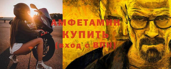 гидра Богородицк