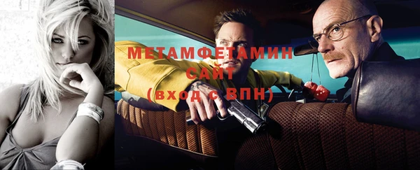гидра Богородицк