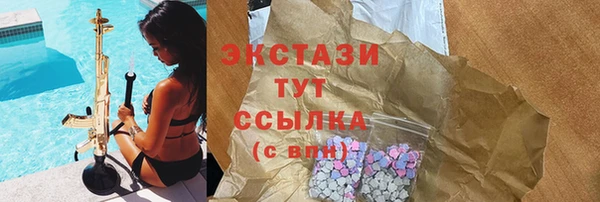 гидра Богородицк