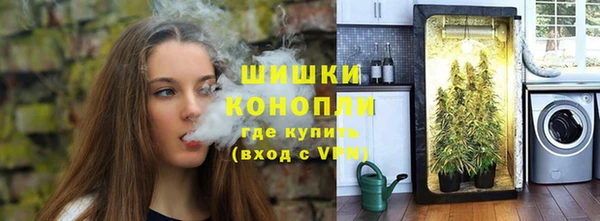 ПСИЛОЦИБИНОВЫЕ ГРИБЫ Богородск