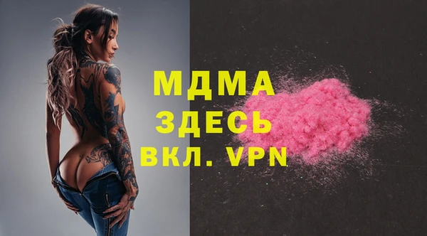 гидра Богородицк