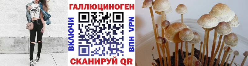 Галлюциногенные грибы ЛСД  Купить закладки  Оса 